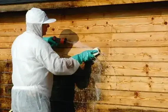 Dlaczego elewacja zielenieje i jak usunąć zielony nalot